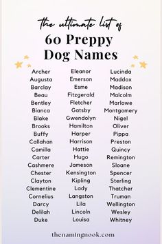 the ultimate list of 60 prepy dog names for your pet's name and their meanings