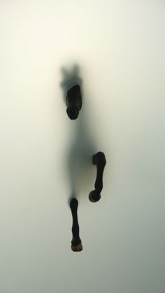 the reflection of a person's legs and shoes is shown in the foggy sky