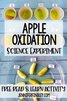 apple oxidation science experiment for kids with free printable labels and instructions on the table