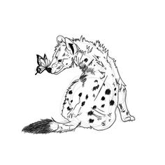 a black and white drawing of a hyena with a butterfly on its nose