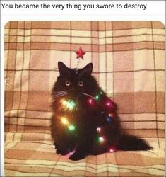 a black cat sitting on top of a couch with christmas lights around it's neck