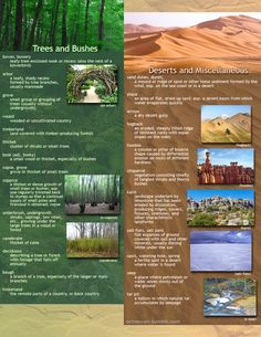 a brochure with images of trees and bushes in the desert, including mountains