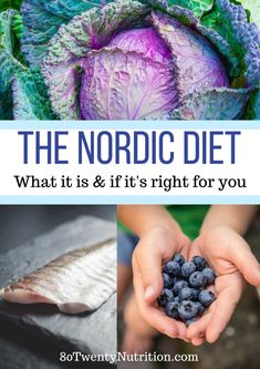 the nordic diet what it is and if it's right for you - softeny nutrition