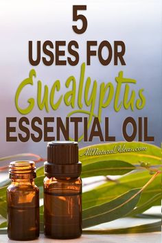 Benefits Of Eucalyptus Oil, Eucalyptus Oil Blends, Esstenial Oils, Doterra Eucalyptus, Eucalyptus Essential Oil Uses, Eucalyptus Oil Uses, Diy Essential Oil Recipes, Essential Oils Collection, Natural Fiber Clothing