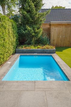 an empty swimming pool in the middle of a backyard with grass and shrubs around it