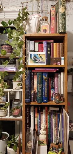 a book shelf filled with lots of books next to a potted plant in a room