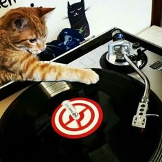 a cat sitting on top of a record player with its paw on it's side