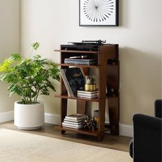 a record player on top of a shelf next to a potted plant in a living room