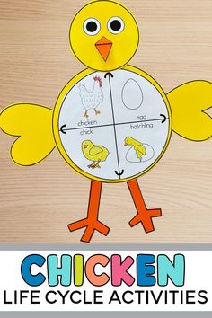 the chicken life cycle activities for kids