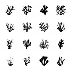 the silhouettes of seaweed and corals are shown in black on a white background