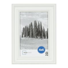 a white frame with trees in the background