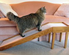 a cat standing on top of a couch next to a wooden foot rest in the living room