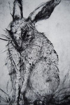 a black and white drawing of a rabbit