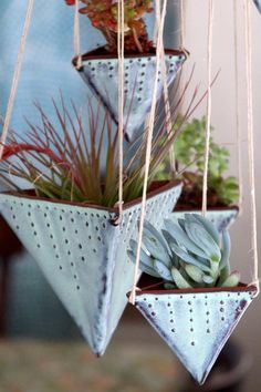 three hanging planters with succulents and plants in them on a string