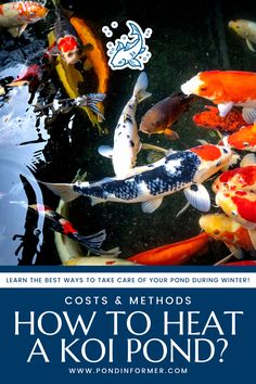 Article about how to heat a koi pond, exploring methods, costs, and tips to maintain a warm and healthy environment for your koi during winter.

Koi pond heating methods, Pond heater costs, Winter pond care