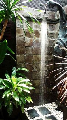 an outdoor shower is shown with plants and rocks