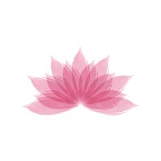 a pink lotus flower on a white background royalty images and clippings are used to create