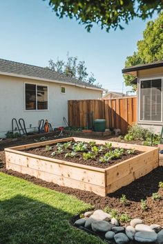 a backyard garden with lots of plants in it