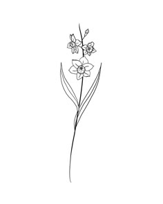 a black and white drawing of flowers on a white background