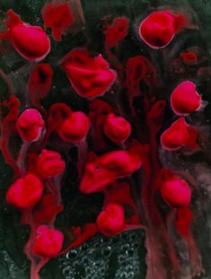 an abstract painting of red flowers on green and black paper with water droplets in the background