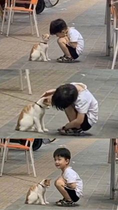 a little boy kneeling down to pet a cat