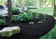 a garden with black mulch, rocks and trees