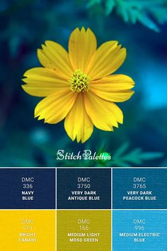 a yellow flower sitting on top of a green leaf filled field with blue and yellow colors