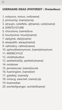 the usernames for pinterest in wordpress