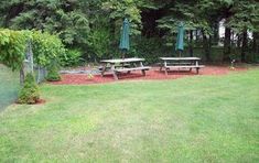 there are picnic tables and umbrellas in the yard