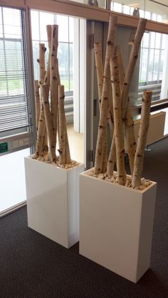 two white planters filled with trees in an office