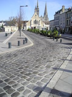 a cobblestone street with trees and buildings in the background