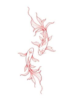 two red koi fish swimming side by side on a white background, one is drawn in