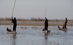 three people in small boats on the water with poles sticking out of their heads and holding onto sticks