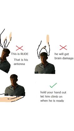 the instructions for how to use an electric hair dryer on your head and neck