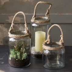 three glass jars filled with plants and rope