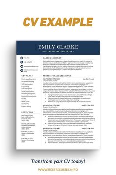 a professional cv resume template with blue and gold accents