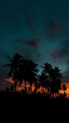 palm trees are silhouetted against an orange and blue sky