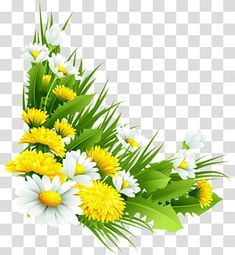 white and yellow flowers with green leaves on the bottom, transparent background png clipart