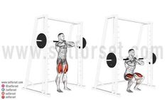 an image of a man doing squats with the help of a barbell attachment