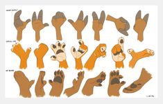 the hands and feet of an animal are drawn in various poses, with different angles