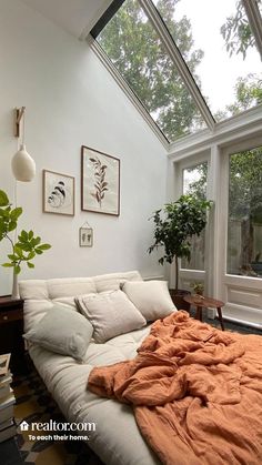 a bed sitting under a window next to a green plant in a room with lots of windows