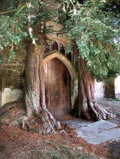 an old door is surrounded by trees and stones