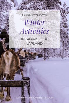 a reindeer pulling a sleigh in the snow with text overlay that reads seven awesome winter activities in saraiskka lapland