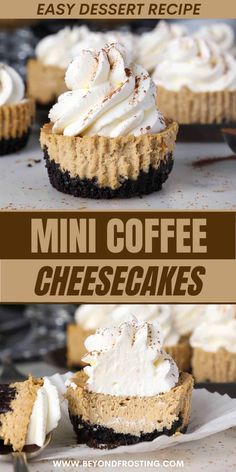 mini coffee cheesecakes with whipped cream on top and chocolate crust in the middle