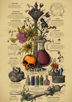 a poster with different types of vases and flowers