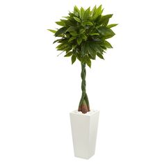 a potted plant with green leaves in it