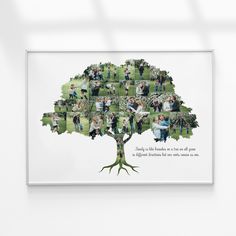 a family tree is shown with many photos and words on the bottom half of it