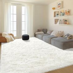 a living room filled with furniture and a white rug