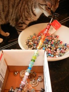 a cat standing next to a box filled with beads