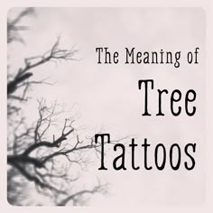 the meaning of tree tattoos written in black ink on a white background with bare trees